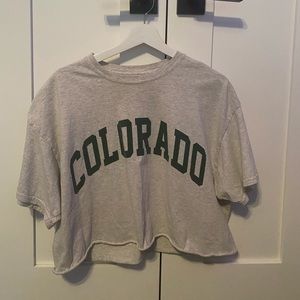 Brandy Melville/John Galt Colorado aleena crop top